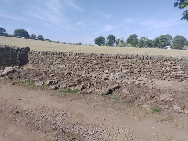 Bowland Dry Stone Walling