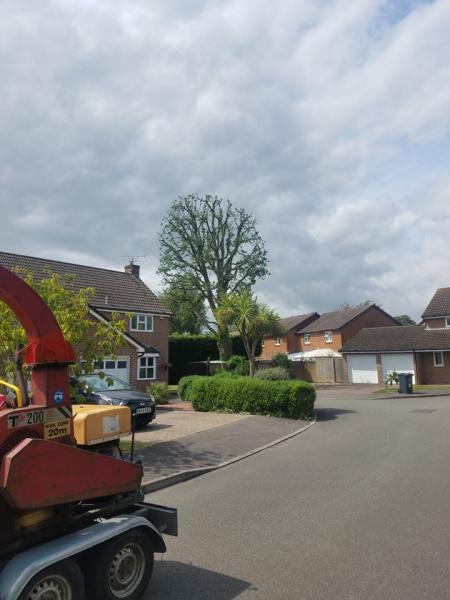 Amott Tree Surgery Ltd