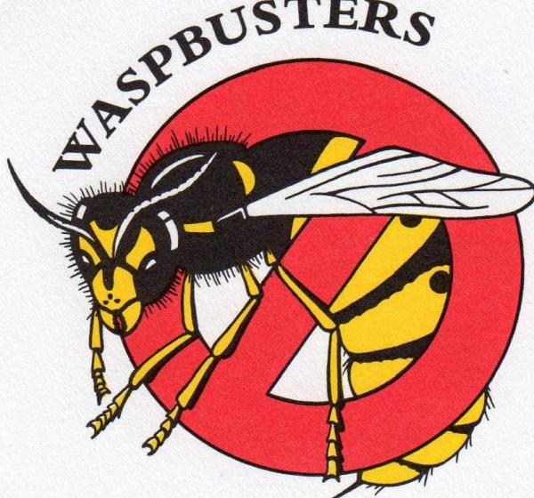 Waspbusters Pest & Vermin Control