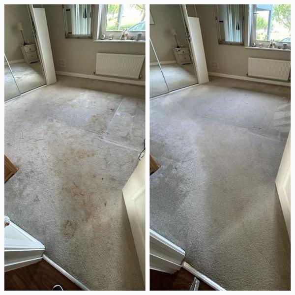 Pure Carpet Cleaning