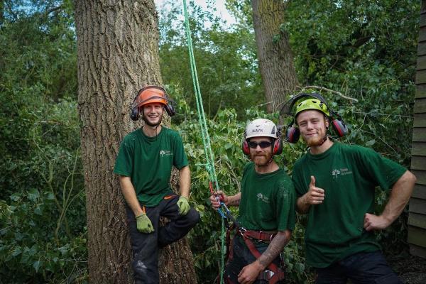 Thorpe Arb & Forestry Tree Specialists.