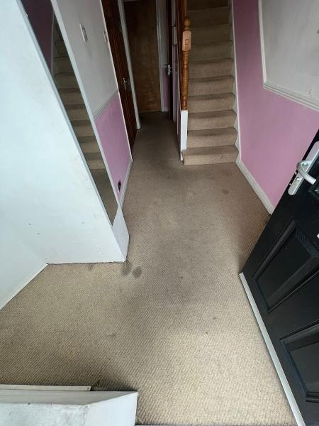 Need A Carpet Clean LTD