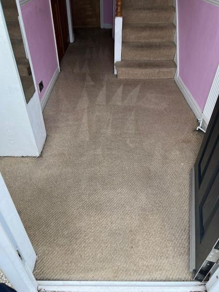 Need A Carpet Clean LTD