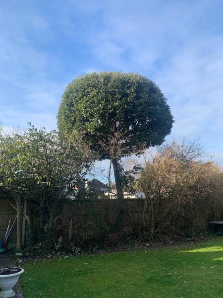 Beechwood Drives & Landscape Services