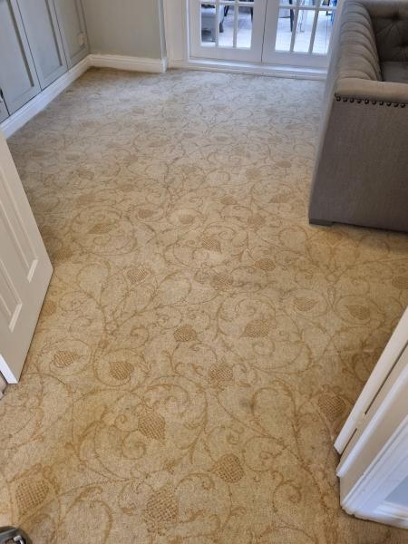 WOW Carpet Cleaners Blackburn