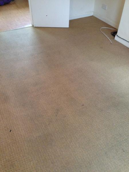 Cleanpro UK Carpet Cleaning