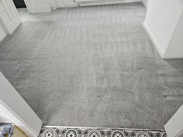 DS Carpet Cleaning Services Ltd