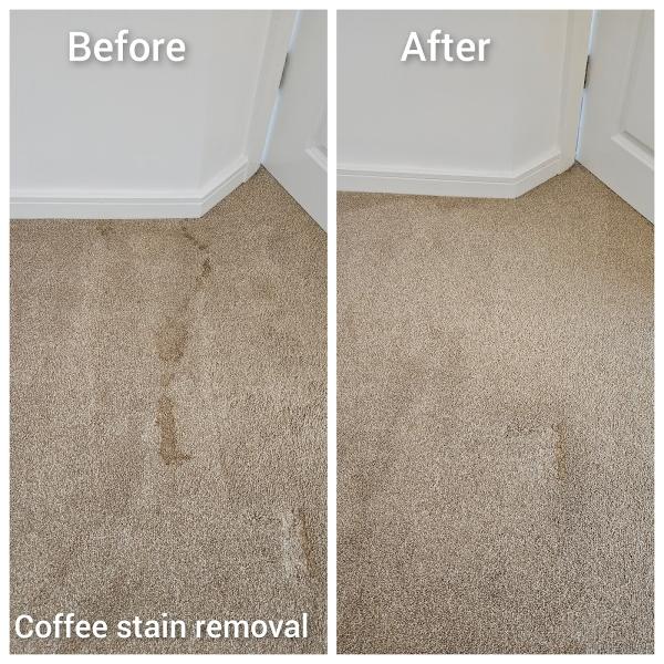 DS Carpet Cleaning Services Ltd