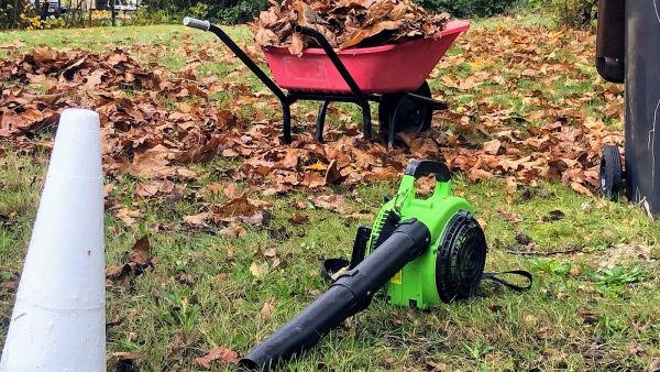 Ringwood Garden Maintenance