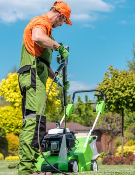 Halstead Tree Surgeons & Garden Maintenance