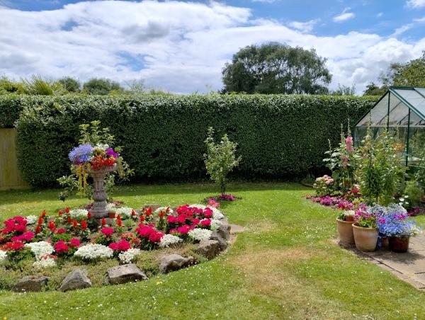 Troy's Tree & Hedge Services