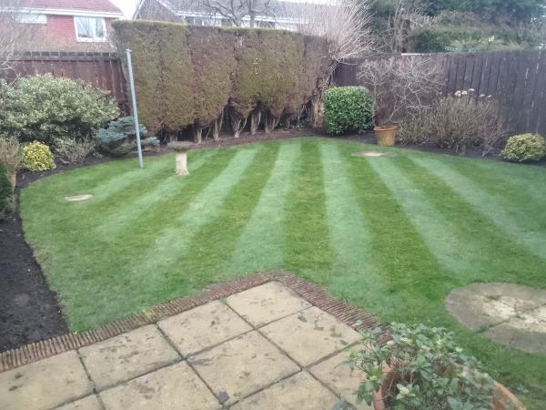 LML Garden & Grounds Maintenance