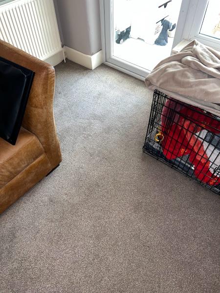 Rise & Shine Cleaning Services