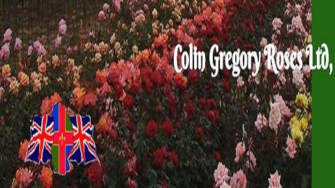 Colin Gregory Roses Ltd