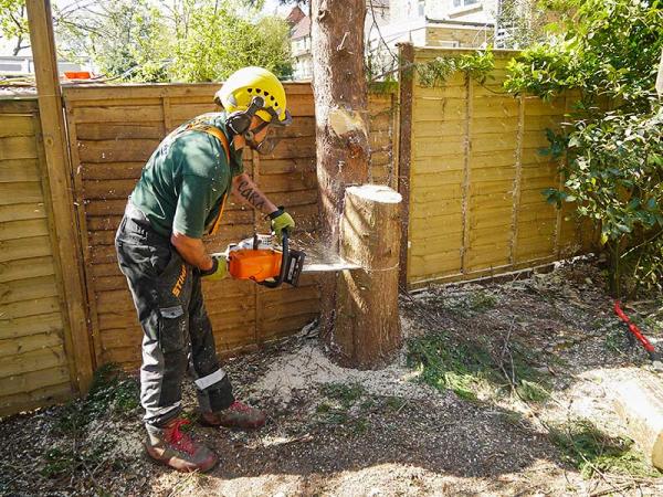 Great Green Gardeners and Landscape Services