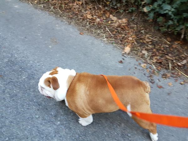 Hammerton & Waring Ltd