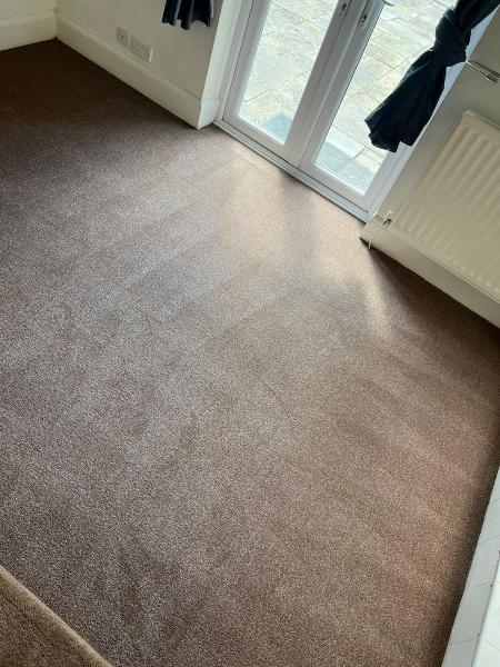 Busy Bee Carpet Cleaning Limited