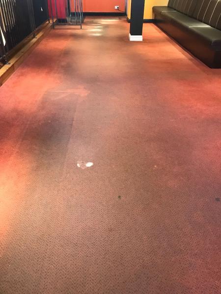 Busy Bee Carpet Cleaning Limited