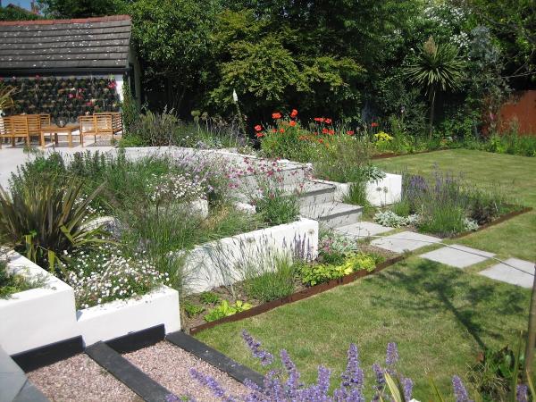 Sally Bower Landscape & Garden Design