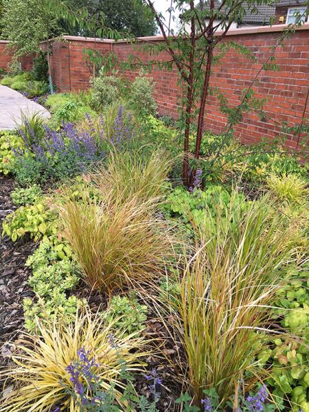Sally Bower Landscape & Garden Design
