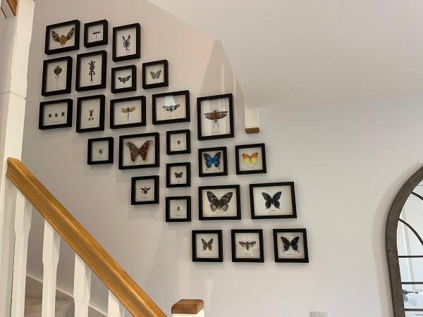 South East Picture Hanging