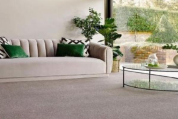 Alvaston Carpet Cleaning