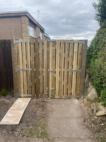 Beechwood Tree Surgery & Fencing