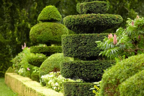 Kelly Rose Walker Landscape & Garden Design