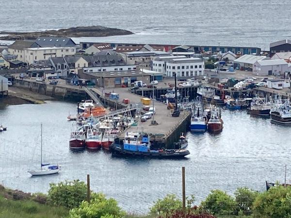 Offshore Workboats Ltd SC505254