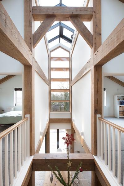 Greentrace Architect