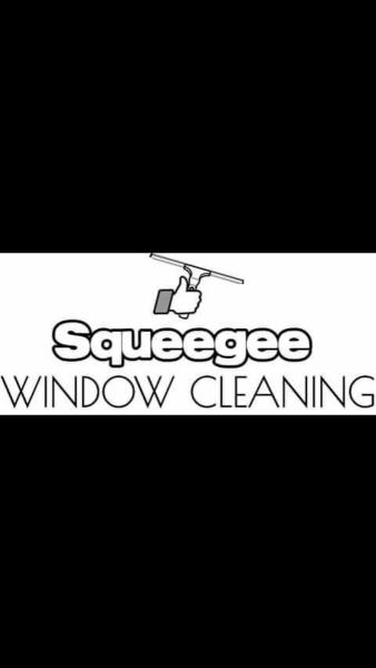 Squeegee Window Cleaning