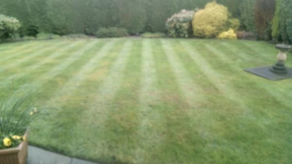 Kieran Hargreaves Landscapes & Garden Maintenance