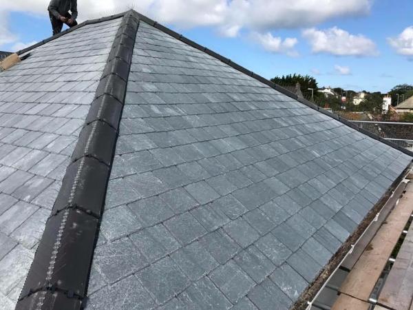 DS Roofing