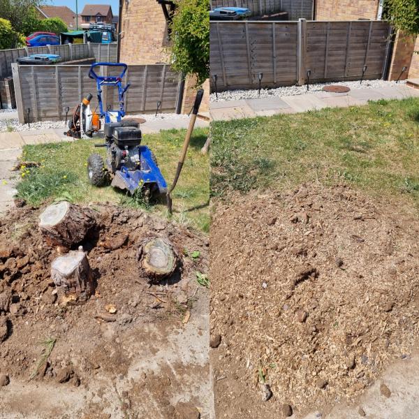 Cawley Brothers Tree Surgery LTD