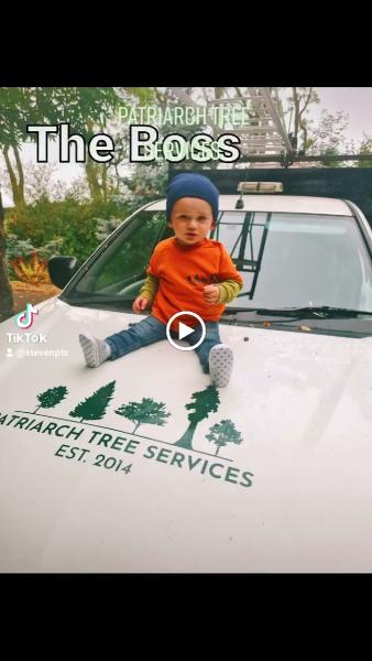 Patriarch Tree Services