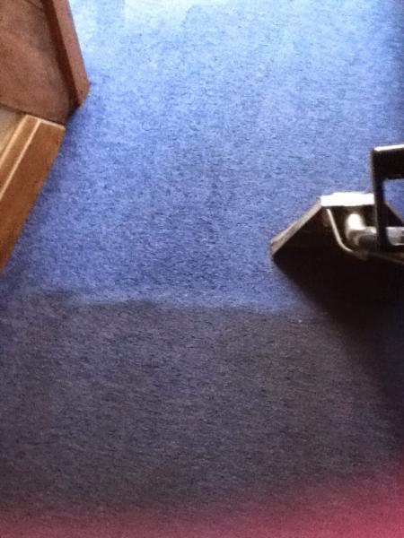 N Clean Carpet and Upholstery Cleaning Specialists