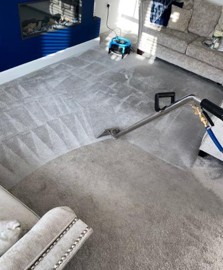 Proclean Carpet & Upholstery Cleaning