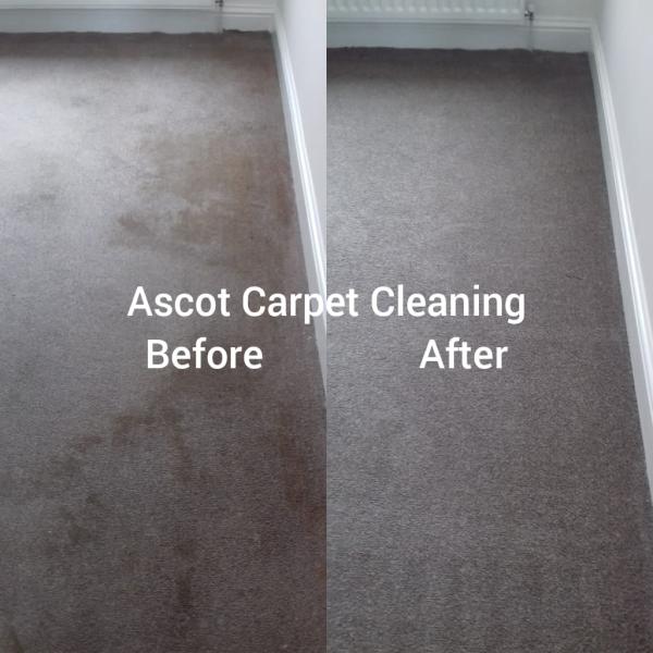 Ascot Carpet Cleaning Spennymoor