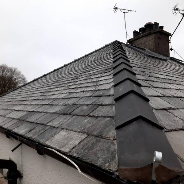 Willow Roofing and Maintenance