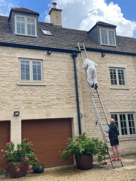 Fen Tiger Pest Control