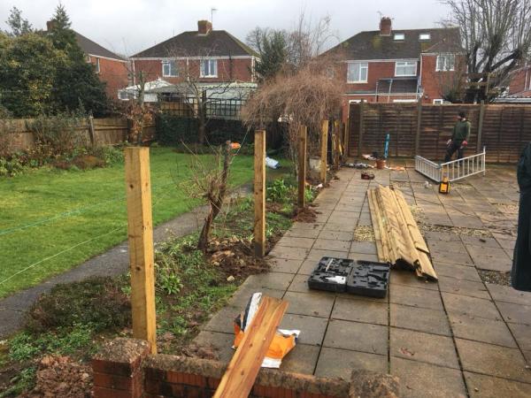 Trimming Hedge Gardening
