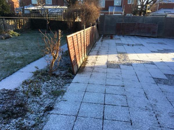 Trimming Hedge Gardening