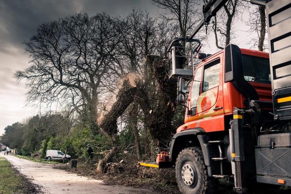Huw Forestry Tree Care and Woodland Management