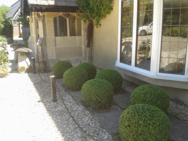 Graham Lawlor Plants & Gardens