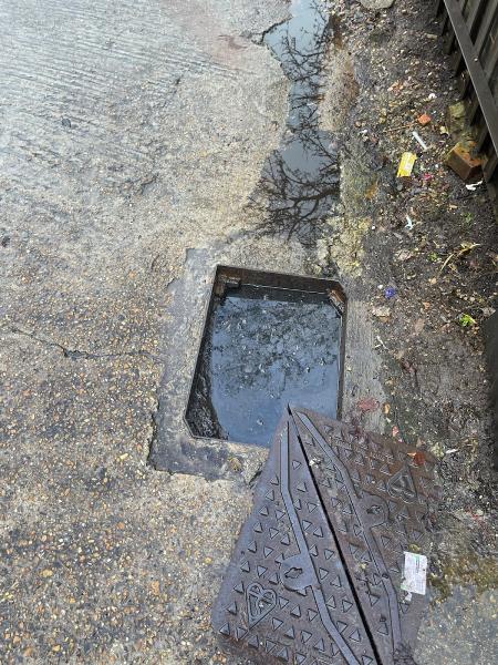 Local Drain Unblocking