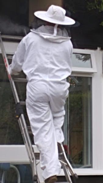 Paul Kilroe Pest Control Services