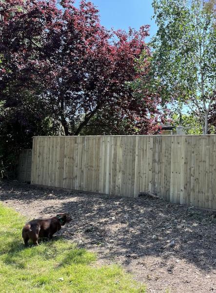 A & B Fencing