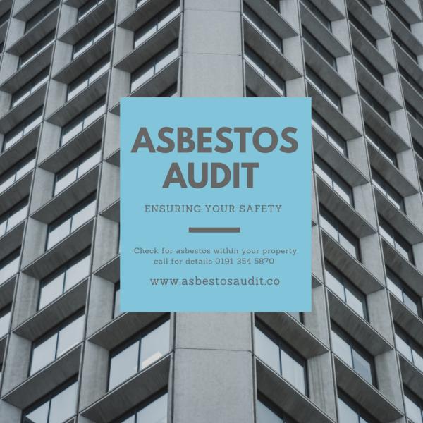 Asbestos Audit Ltd