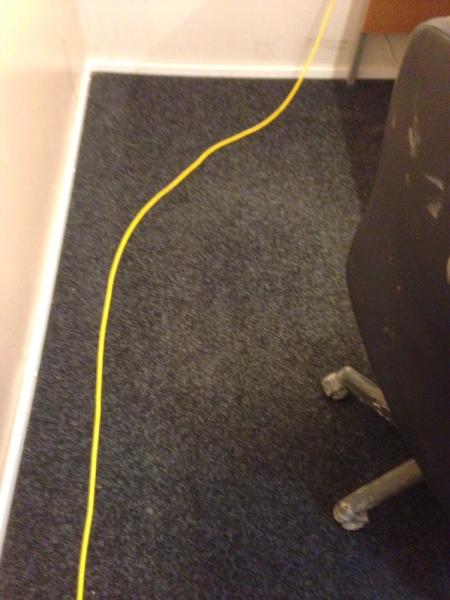 Carpet Cleaning Lady