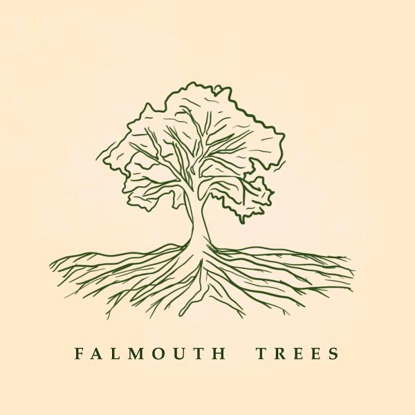 Falmouth Trees